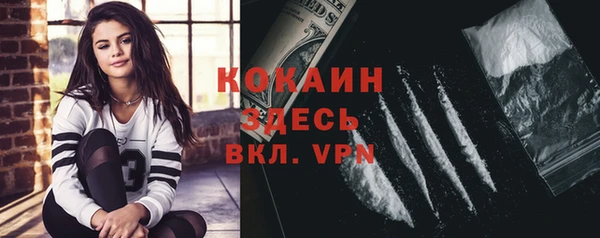 сатива Каменногорск