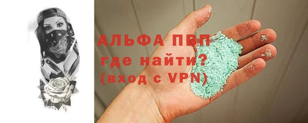 сатива Каменногорск
