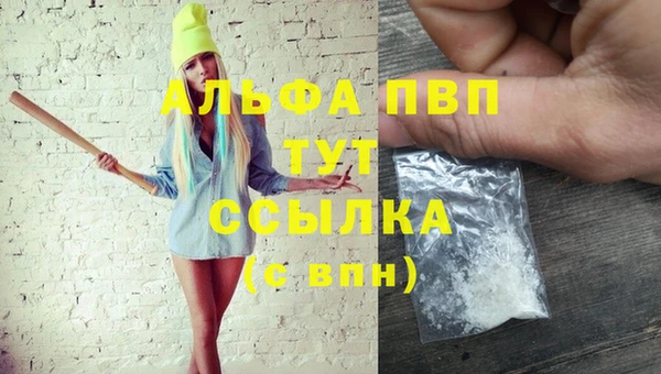 2c-b Инта