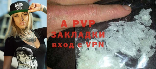 сатива Каменногорск