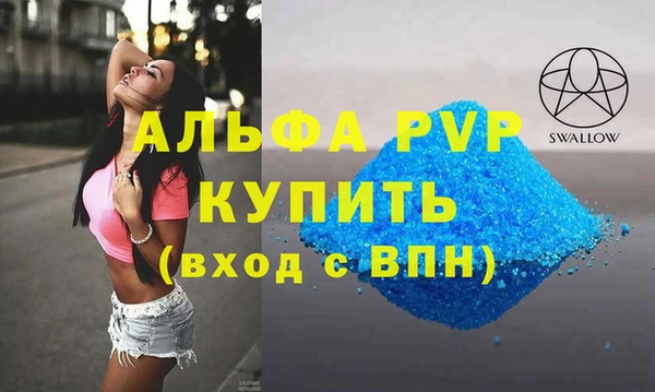 PSILOCYBIN Иннополис