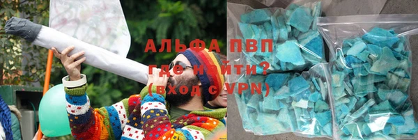 сатива Каменногорск