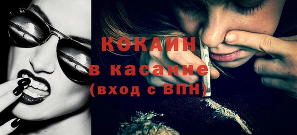 сатива Каменногорск